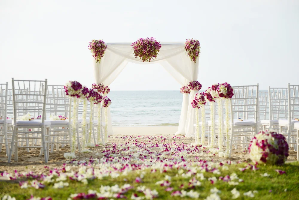Outdoor wedding chair rentals hotsell